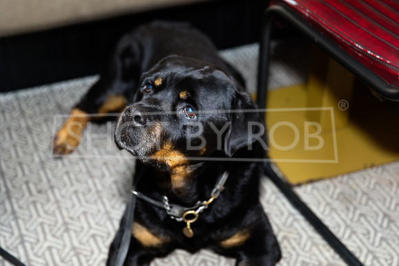 SHOT_BY_ROB-0689