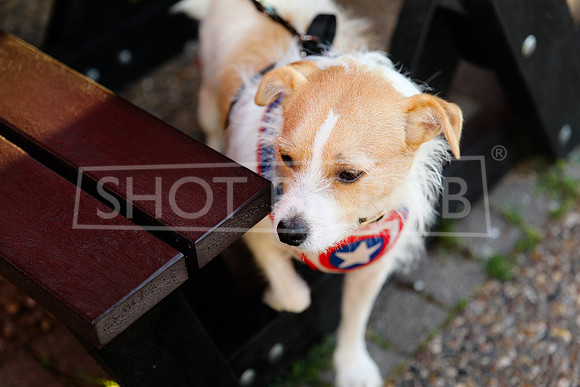 SHOT_BY_ROB-3977