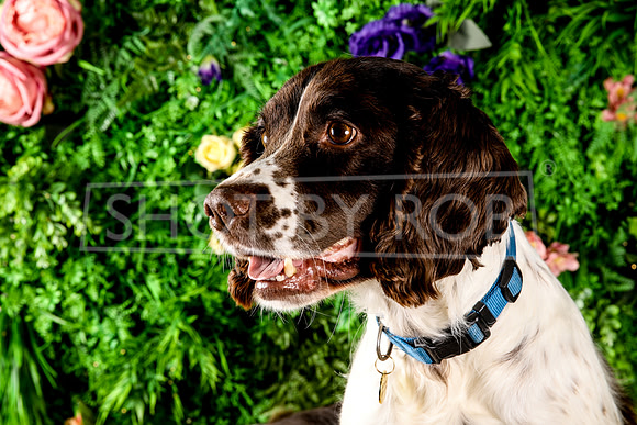 SHOT_BY_ROB-3362