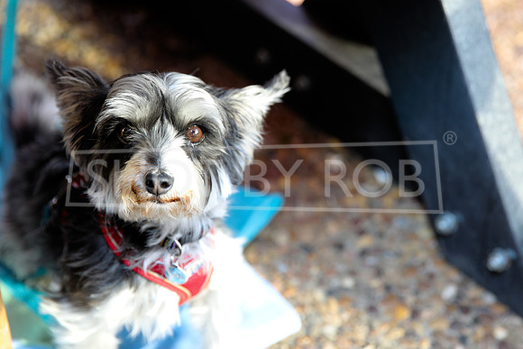 SHOT_BY_ROB-3357