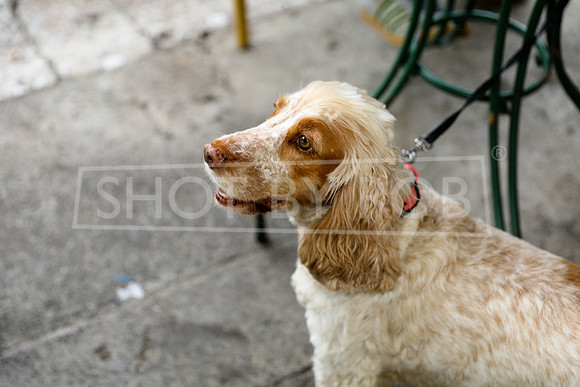 SHOT_BY_ROB-9388