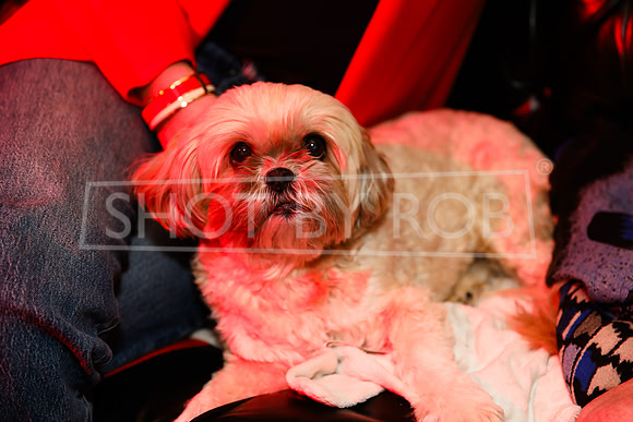 SHOT_BY_ROB-0640