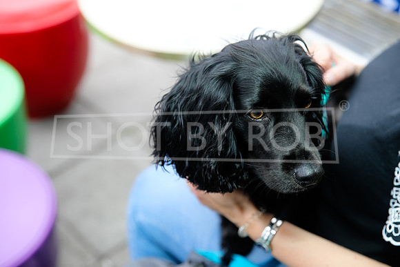 SHOT_BY_ROB-5273