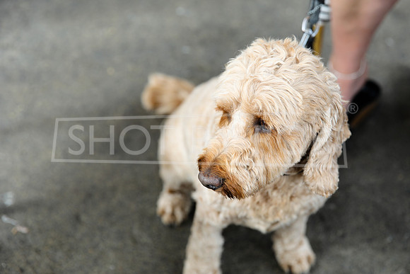 SHOT_BY_ROB-9380