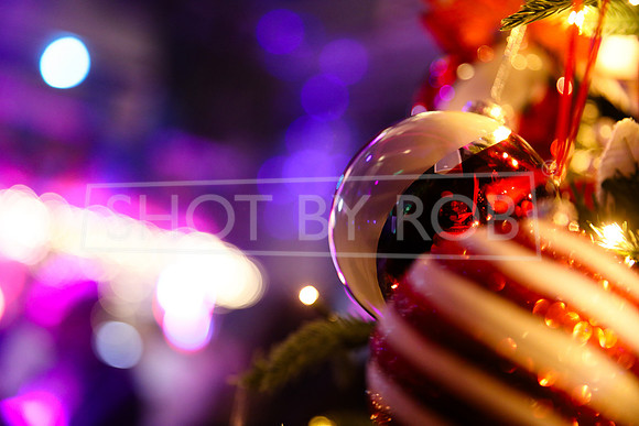 SHOT_BY_ROB-1242