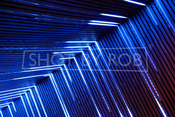 SHOT_BY_ROB-7504